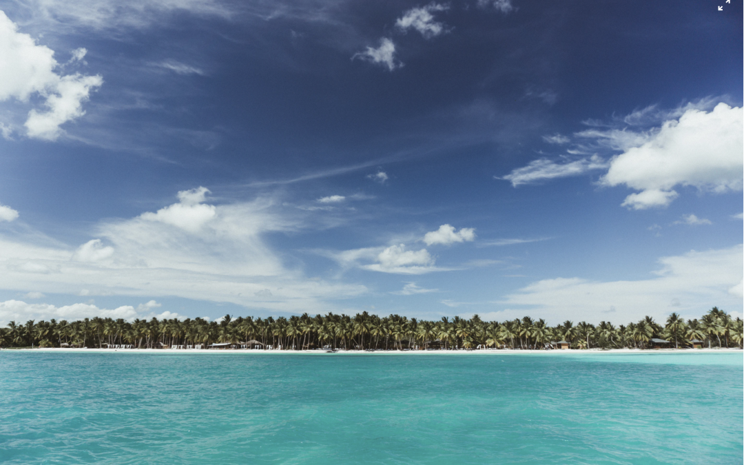 The Best Spots To Go Scuba Diving in Punta Cana
