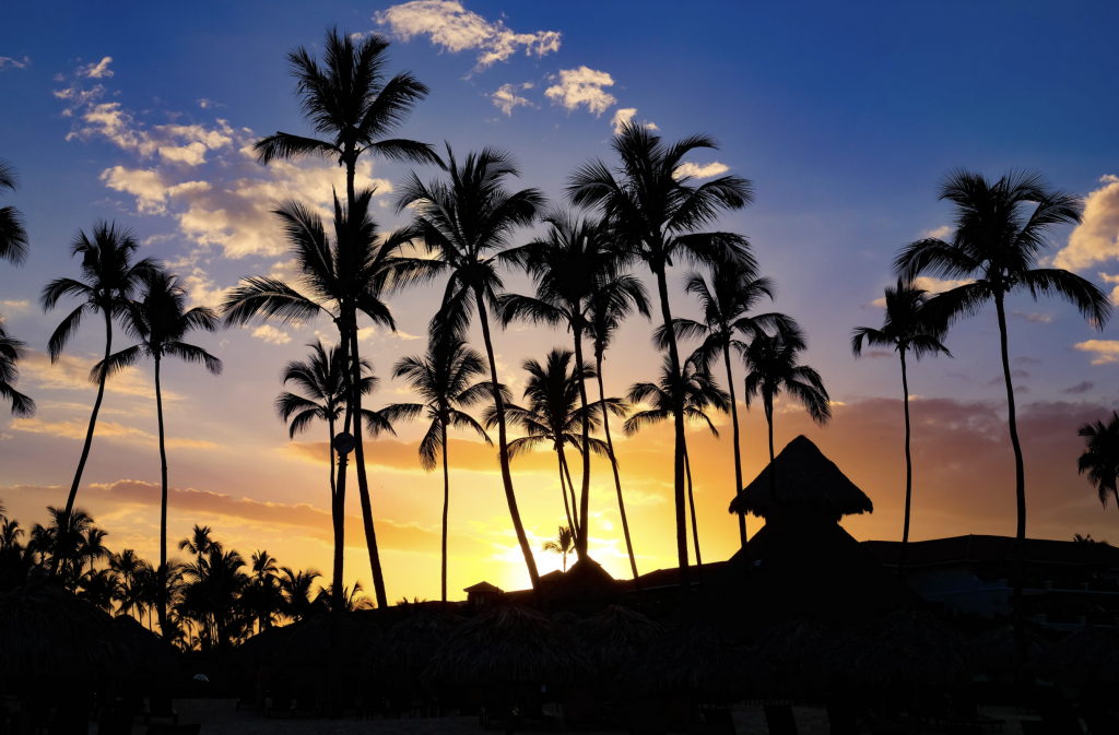 nightlife in punta cana