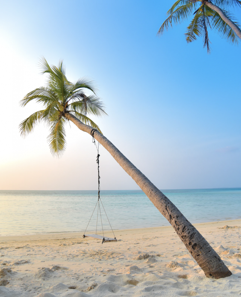 beach in punta cana