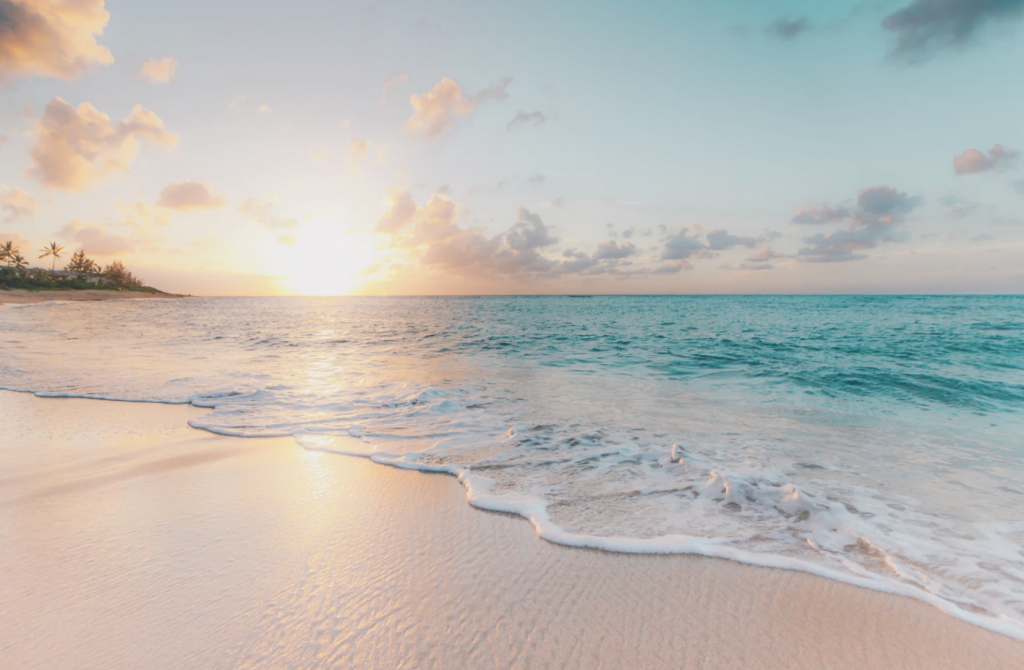 beach in punta cana